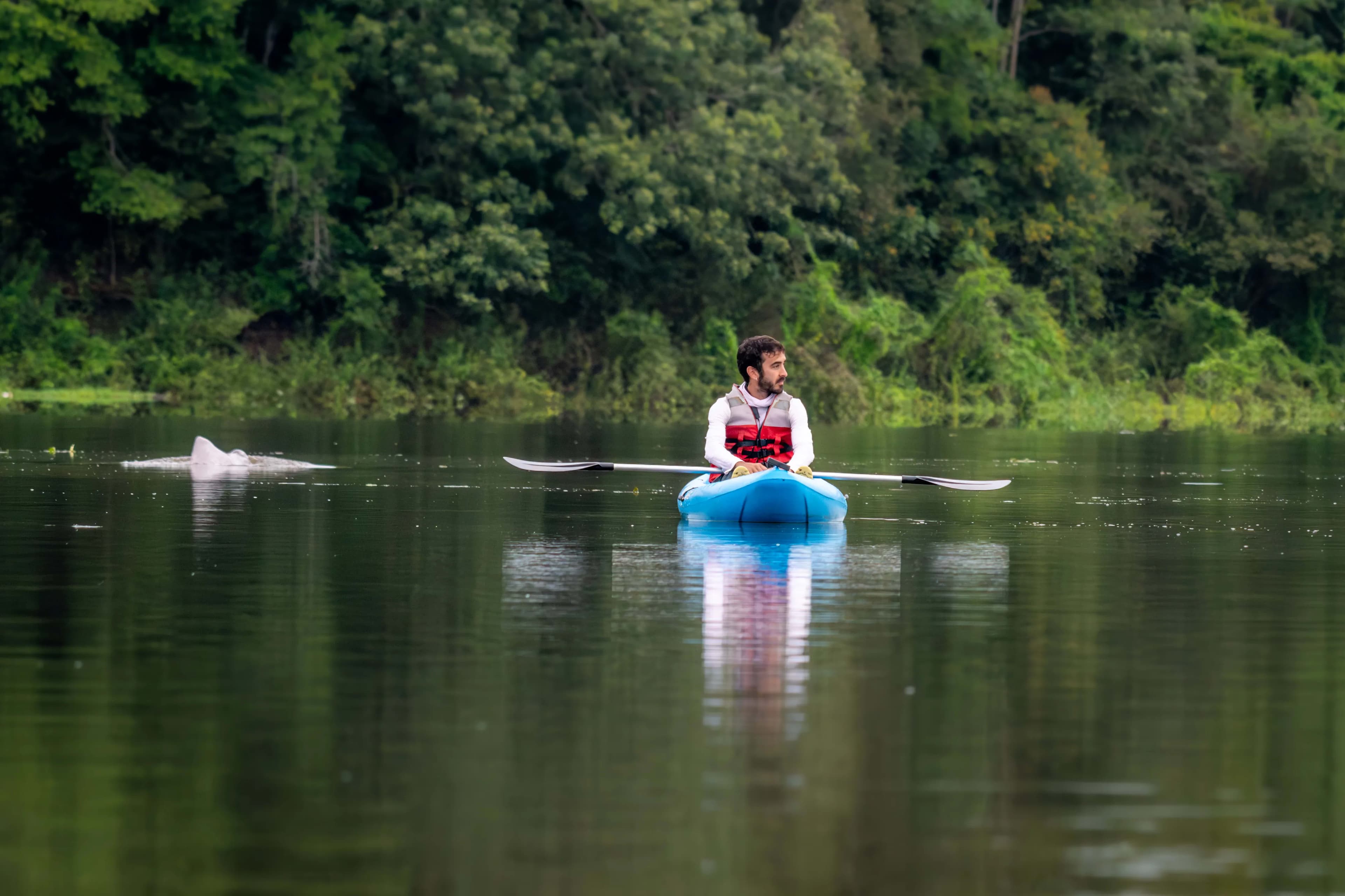 Disfruta puerto nariño selva, rio, escalada en arboles y kayak